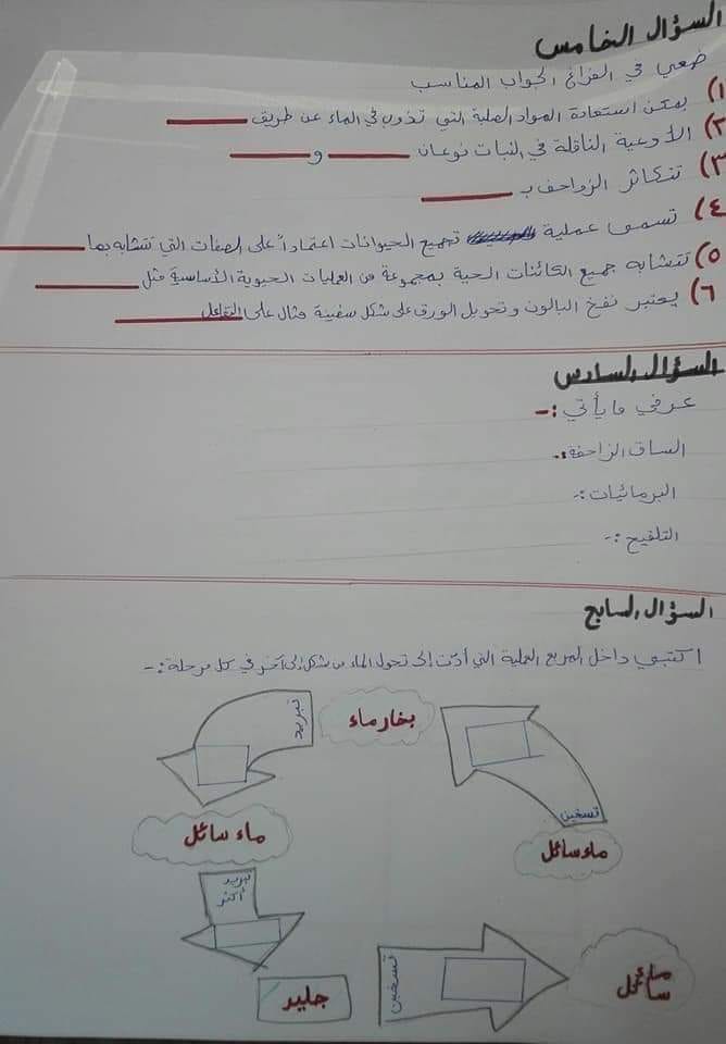 MjQ0NTg5MQ25253 نموذج مصور اختبار العلوم النهائي للصف الرابع الفصل الاول 2019